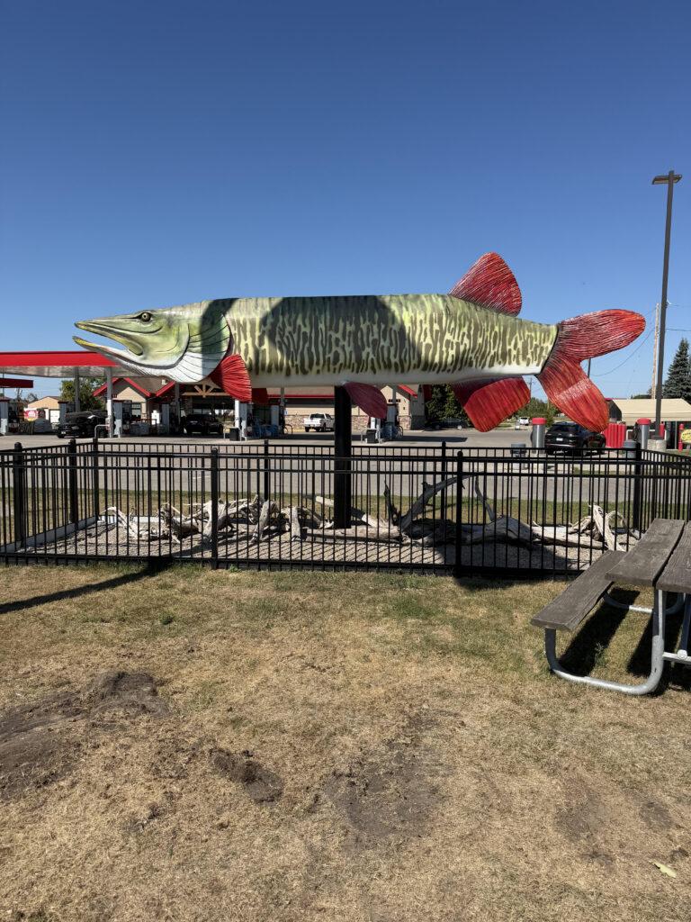 Northern in Deer River
