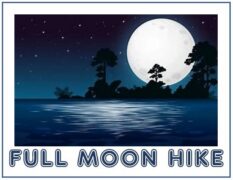 Full Moon Hike
