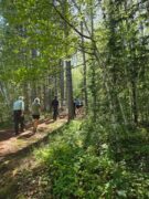 Tioga Hikes