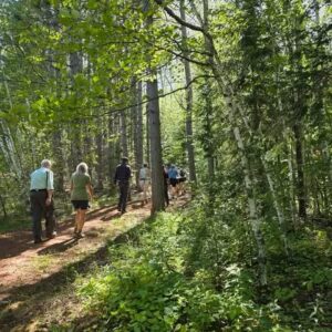 Tioga Hikes