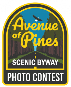 Ave of Pines logo