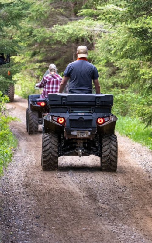 top spring things to do grand rapids, mn